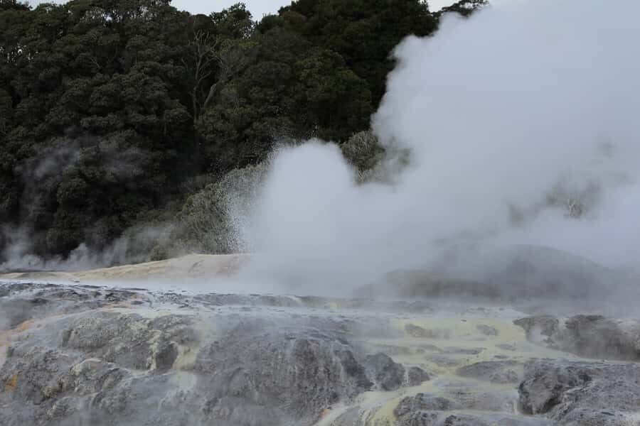 From Auckland: Hobbiton & Rotorua Tour with Lunch at Te Puia - Te Puia and Whakarewarewa Valley: Geothermal Action Plus Māori Culture