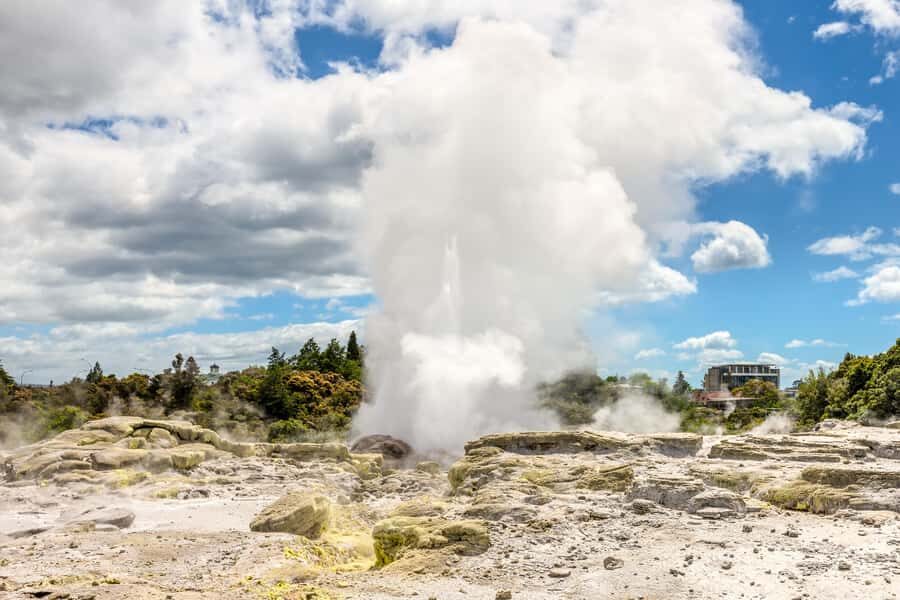 From Auckland: Hobbiton & Rotorua Tour with Lunch at Te Puia - Buffet Lunch at Te Puia: What You’re Likely to Get