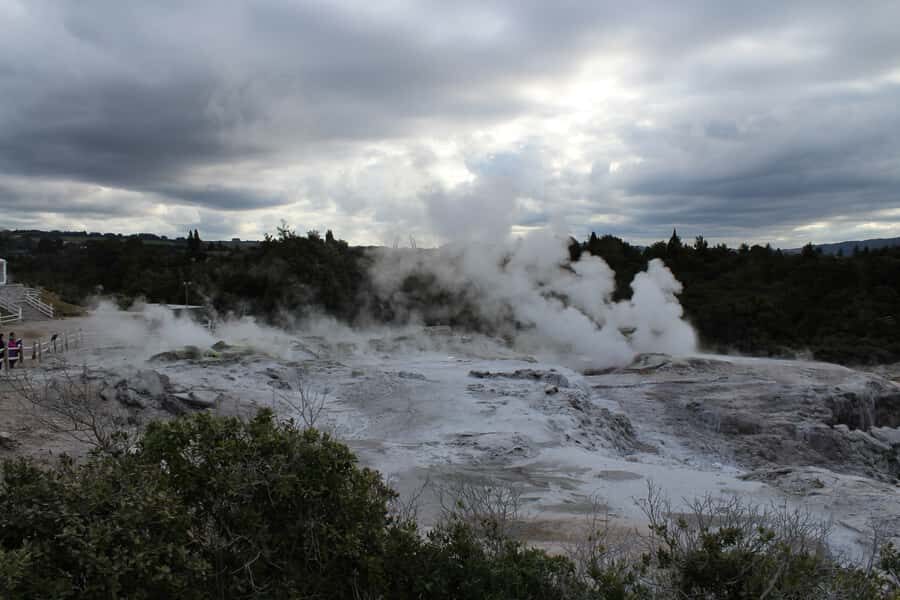 From Auckland: Hobbiton & Rotorua Tour with Lunch at Te Puia - One-Way to Rotorua: When Finishing in Rotorua Beats Returning to Auckland