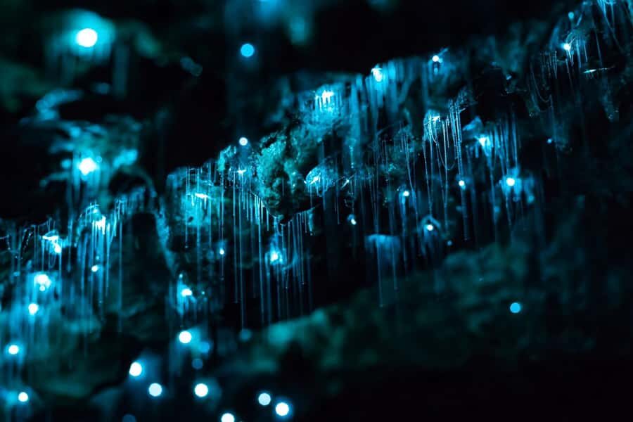 From Auckland: Hobbiton & Waitomo Caves Full-Day Trip - Supporting the Local Community You’re Visiting