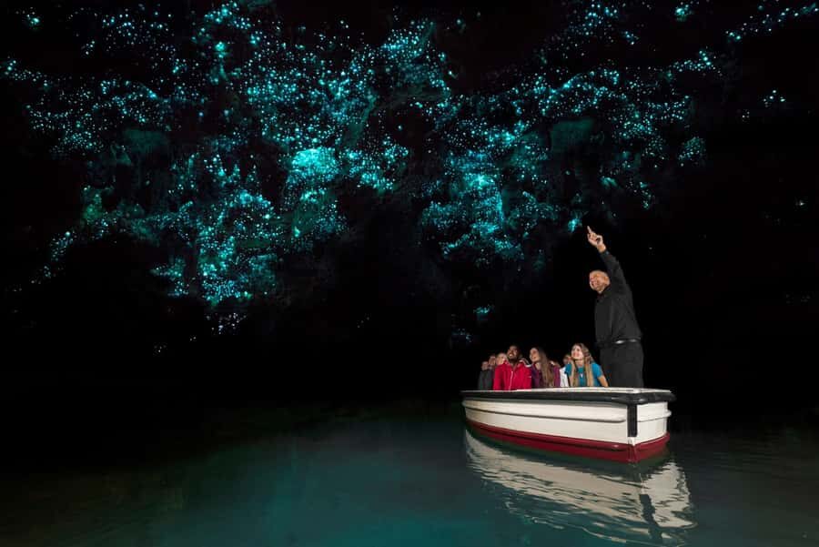 From Auckland: Hobbiton & Waitomo Caves Full-Day Trip - Luxury Van Comfort: Auckland Pickup to Kaimai Range Views