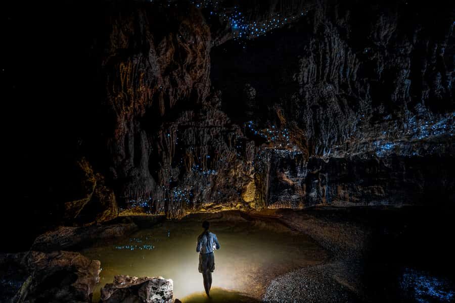 From Auckland or Rotorua: Hobbiton & Waitomo Tour with Lunch - Why This Hobbiton and Waitomo Combo Works in One Long Day