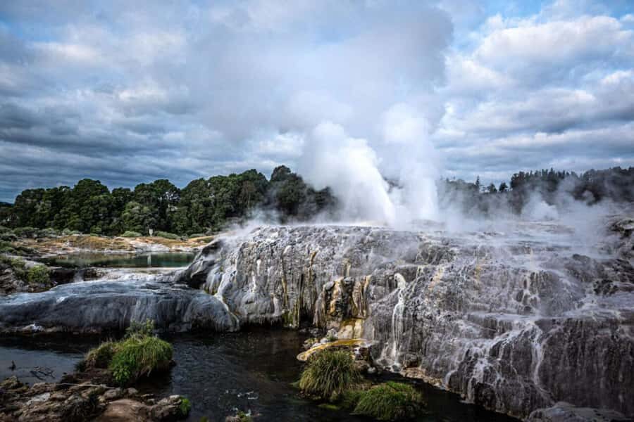 From Auckland: Rotorua Te Puia, Haka & Polynesian Spa Tour - A full Rotorua day from Auckland (with real timing)
