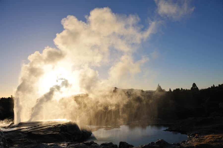 From Auckland: Rotorua Te Puia, Haka & Polynesian Spa Tour - Te Puia geothermal park: mud pools, steam, and the Pohutu moment