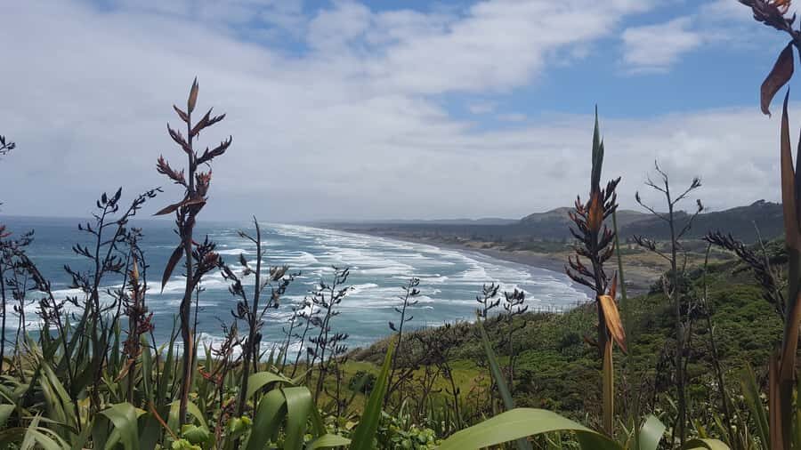 From Auckland: Small Group Kumeu Wine Tour with Lunch - Price and Value: Is $185 Worth It?