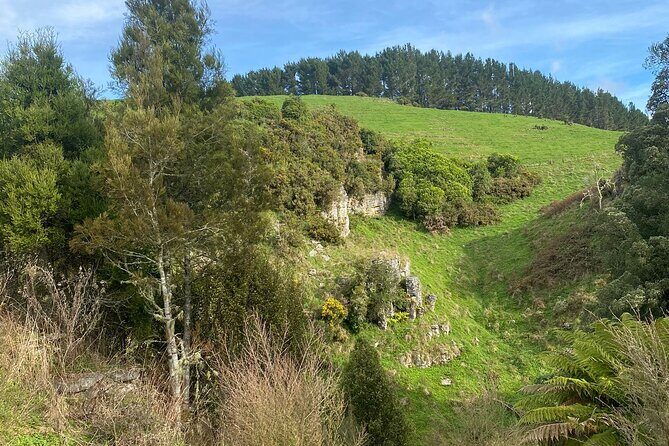 From Auckland: Spellbound, Waitomo Glowworm Cave Small Group Tour - Pickup, timing, and the reality of the long drive