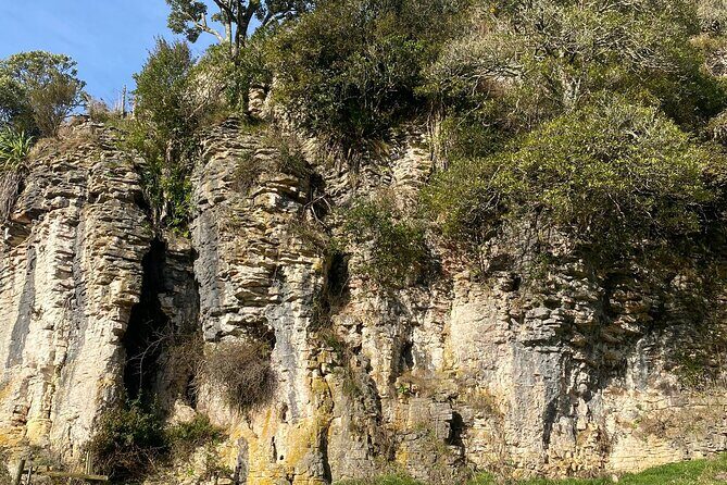 From Auckland: Spellbound, Waitomo Glowworm Cave Small Group Tour - The second cave walk: stalactites, stalagmites, and fossils