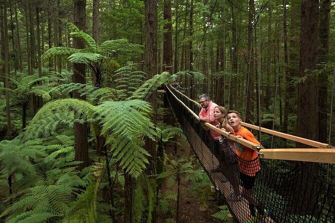 From Auckland to Rotorua Waiotapu and Activity Combinations - Rotorua Quick Orientation: The Lake Stop That Helps You Appreciate Everything Else