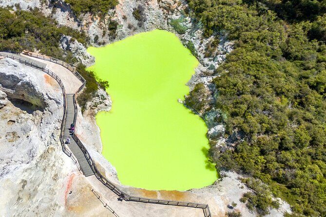 From Auckland to Rotorua Waiotapu and Activity Combinations - Driver and Guide Quality: Why a Small Group Changes the Day