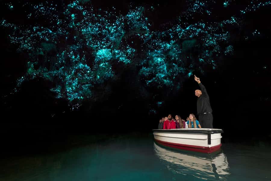 From Auckland: Two-Day Hobbiton, Rotorua, Waitomo Caves Tour - Getting Around: Small-Group Comfort in Mercedes Minibuses