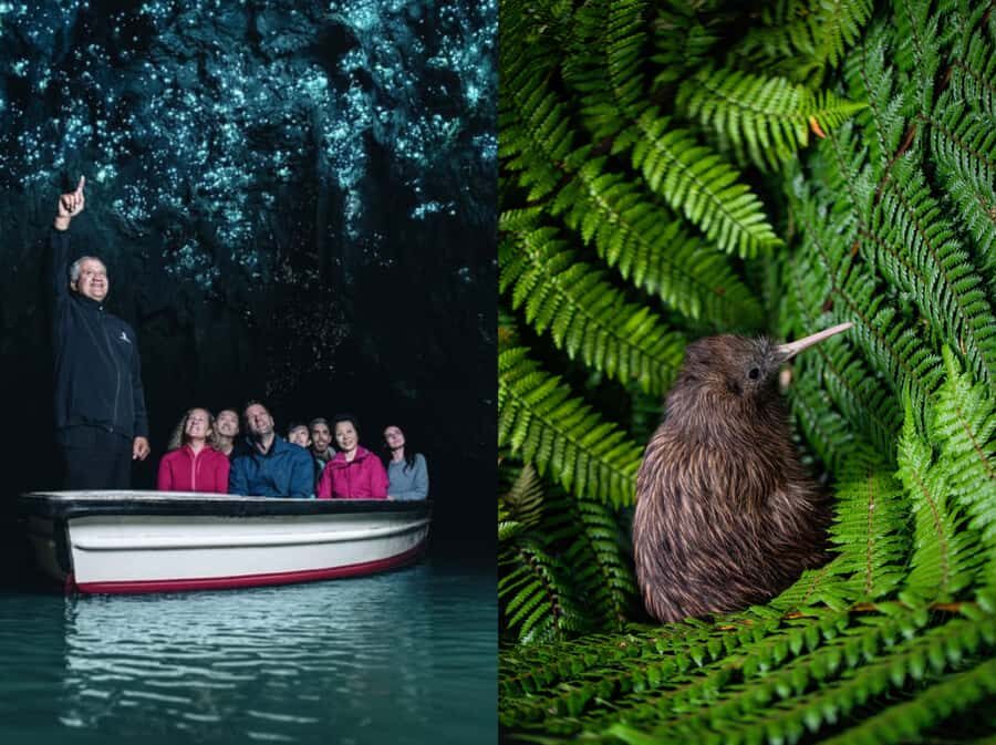 From Auckland: Waitomo Caves and Kiwi House Group Tour - Key things I’d circle before you go