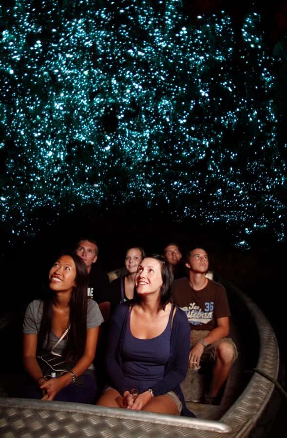 From Auckland: Waitomo Caves and Kiwi House Group Tour - Getting through the dark: why your cave guide’s instructions matter