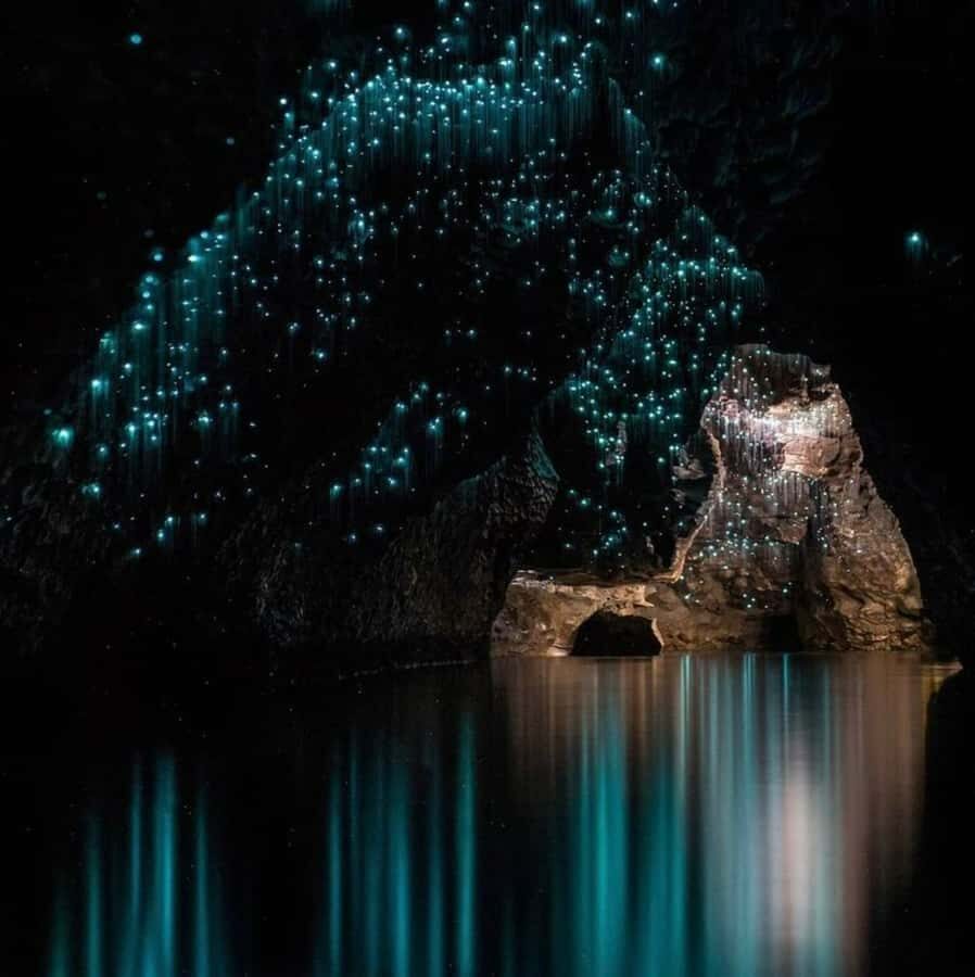 From Auckland: Waitomo Caves and Kiwi House Group Tour - Pacing, small-group vibe, and what 9 hours feels like