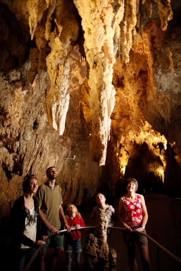From Auckland: Waitomo Caves and Kiwi House Group Tour - Value check: is $209 worth it for this Auckland day trip?