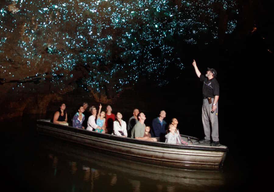 From Auckland: Waitomo Caves and Kiwi House Group Tour - Waitomo Glowworm Caves: boat ride under a living ceiling