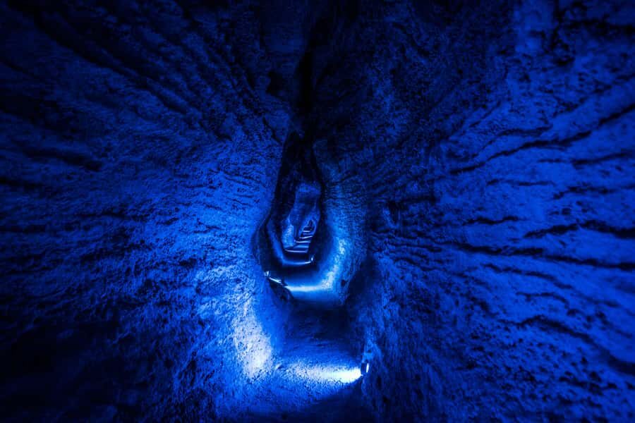 From Auckland: Waitomo Glowworm and Ruakuri Caves Day Tour - Key things to know before you go