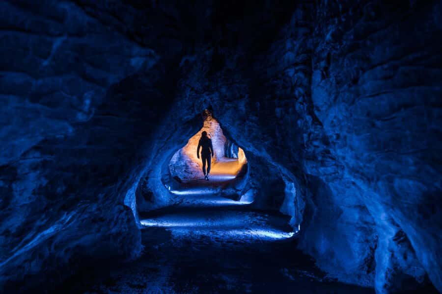 From Auckland: Waitomo Glowworm and Ruakuri Caves Day Tour - Should You Book This Auckland to Waitomo and Ruakuri Tour?
