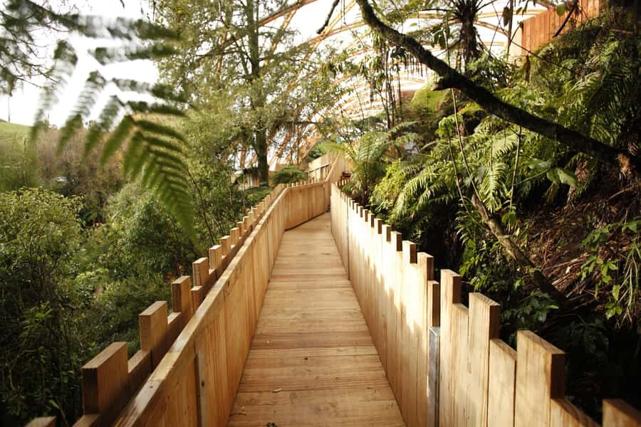 From Auckland: Waitomo Glowworm and Ruakuri Caves Day Tour - What to Bring (and Why Warmth and Footwear Are Non-Negotiable)