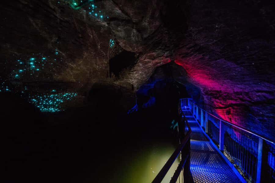 From Auckland: Waitomo Glowworm and Ruakuri Caves Day Tour - Price and Value: What $283 Includes (and What You Pay Extra For)