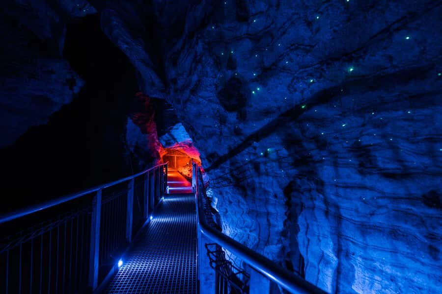 From Auckland: Waitomo Glowworm and Ruakuri Caves Day Tour - Who Should Book This Day Tour (and Who Should Skip It)