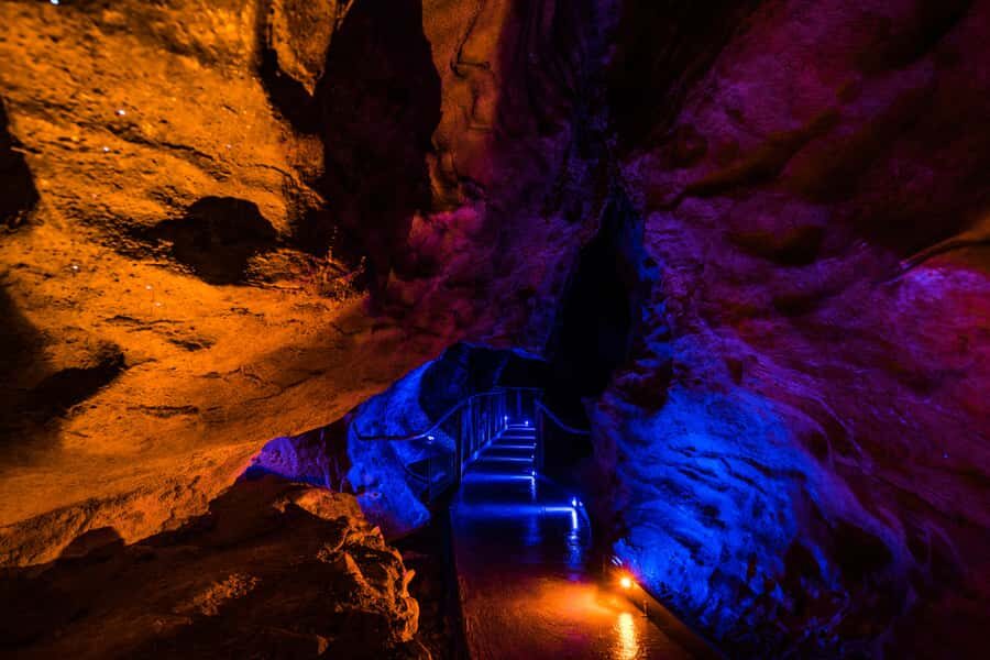From Auckland: Waitomo Glowworm and Ruakuri Caves Day Tour - Waitomo Glowworm Caves: The Guided Walk and the Grotto Boat Ride