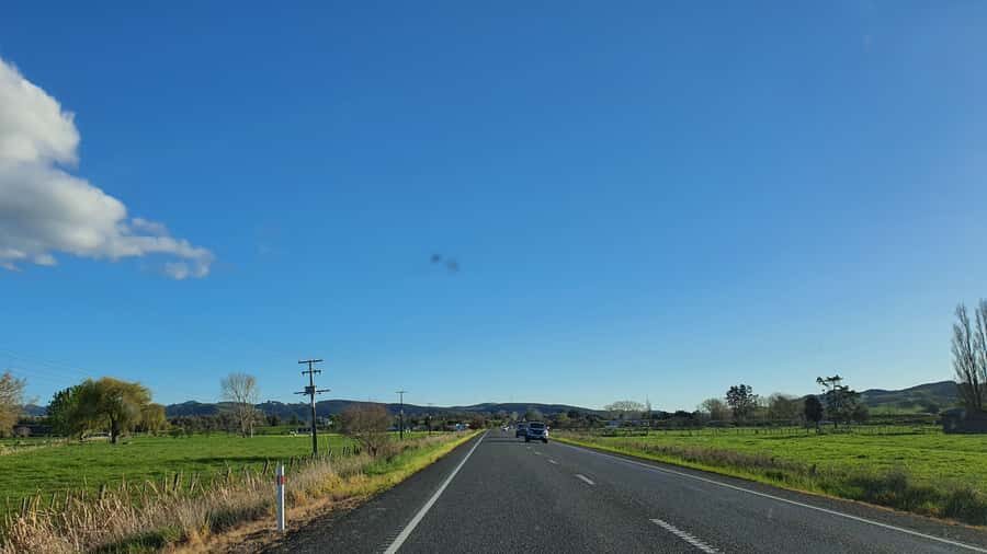 From Auckland: Waitomo Glowworm Cave Tour - Key things I think you’ll care about