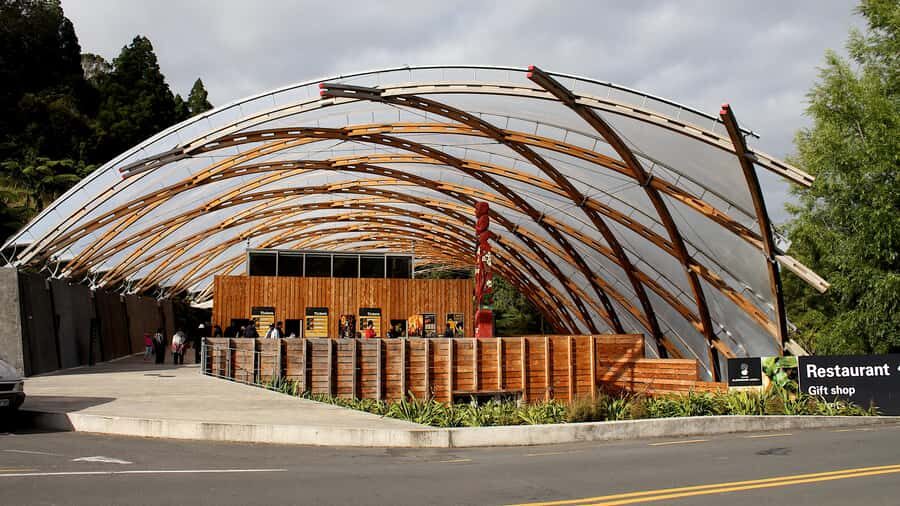 From Auckland: Waitomo Glowworm Cave Tour - Auckland to Waitomo in a comfortable, guided ride
