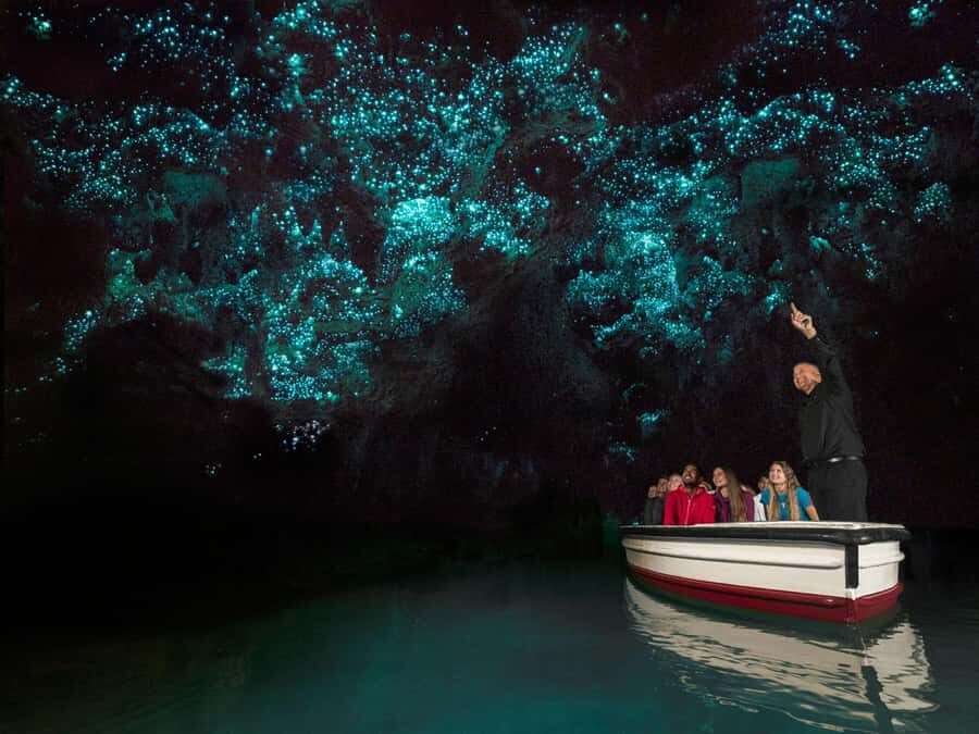 From Auckland: Waitomo Glowworm Cave Tour - First stop: stalactites and stalagmites inside the cave