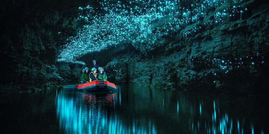 From Auckland: Waitomo Glowworm Cave Tour - Your English-speaking guide: what the tour teaches you to notice