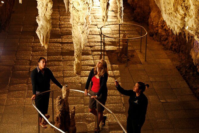 From Auckland:Hobbiton Movie Set & Waitomo Caves Small Group Tour - Price and Value: What You Get for $257.54 Per Person
