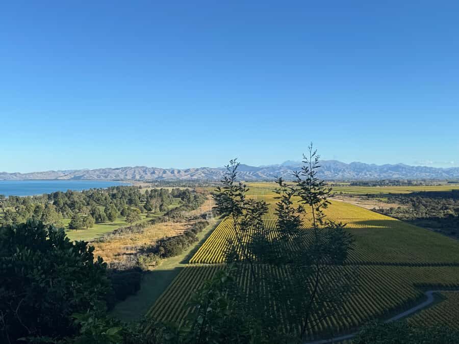 From Blenheim/Picton: Marlborough Gourmet Wine Tasting Tour - Marlborough in a single 6-hour loop from Blenheim and Picton