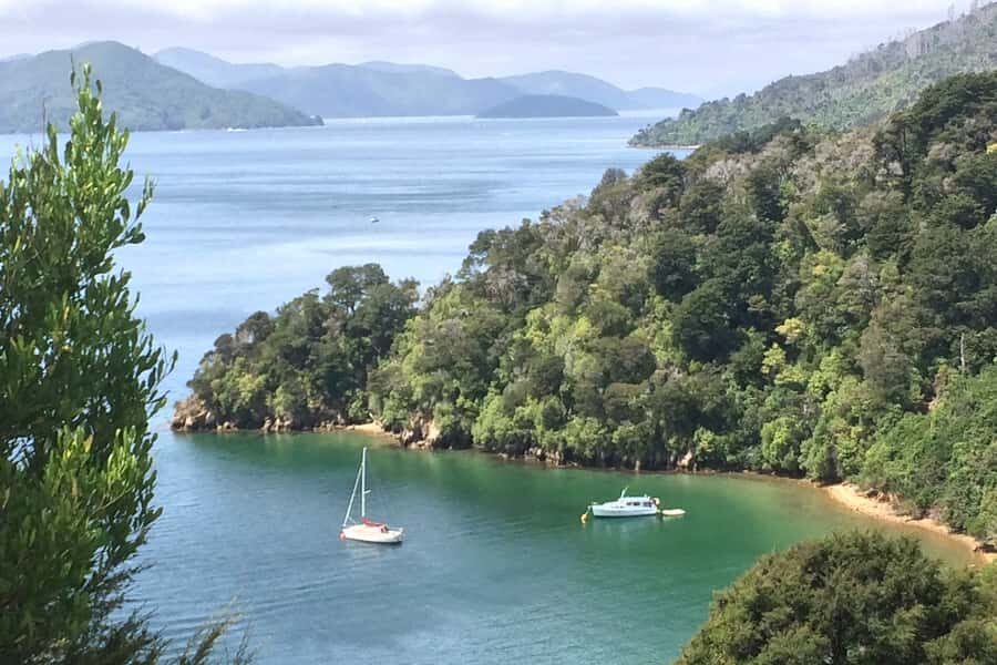 From Blenheim/Picton: Marlborough Gourmet Wine Tasting Tour - Cellar doors and Wairau Valley terroir: the wines you’ll taste