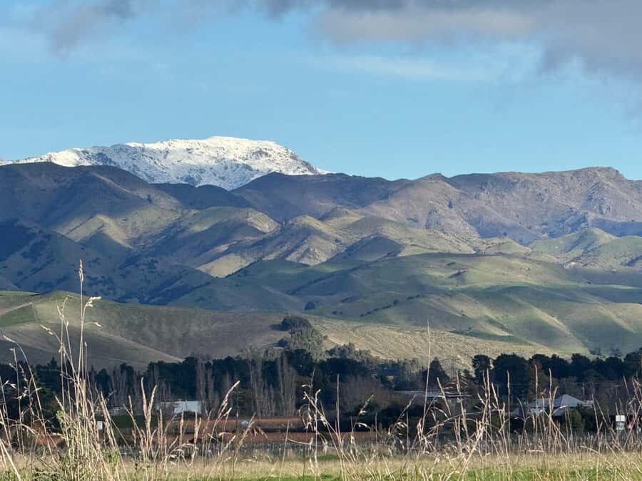 From Blenheim/Picton: Marlborough Gourmet Wine Tasting Tour - Makana Confections: chocolate that actually earns its place