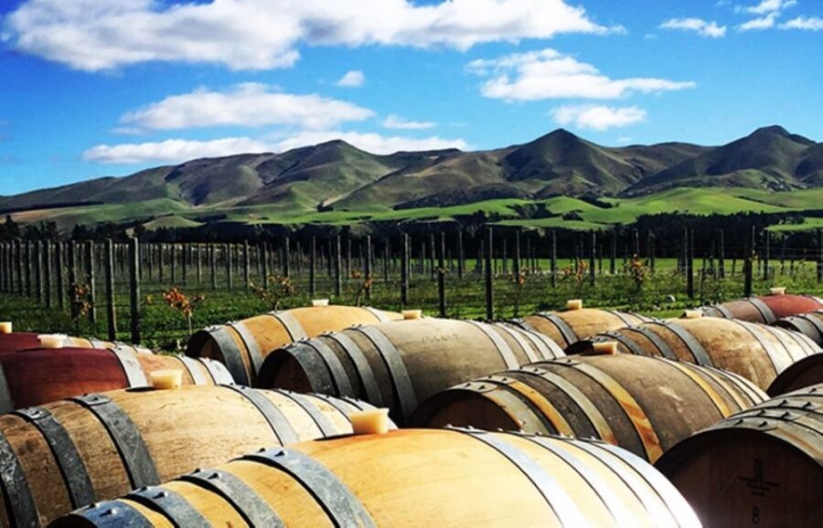From Christchurch: Guided Local Wine Tours in Waipara - Should you book Giles Guided Local Wine Tours in Waipara?