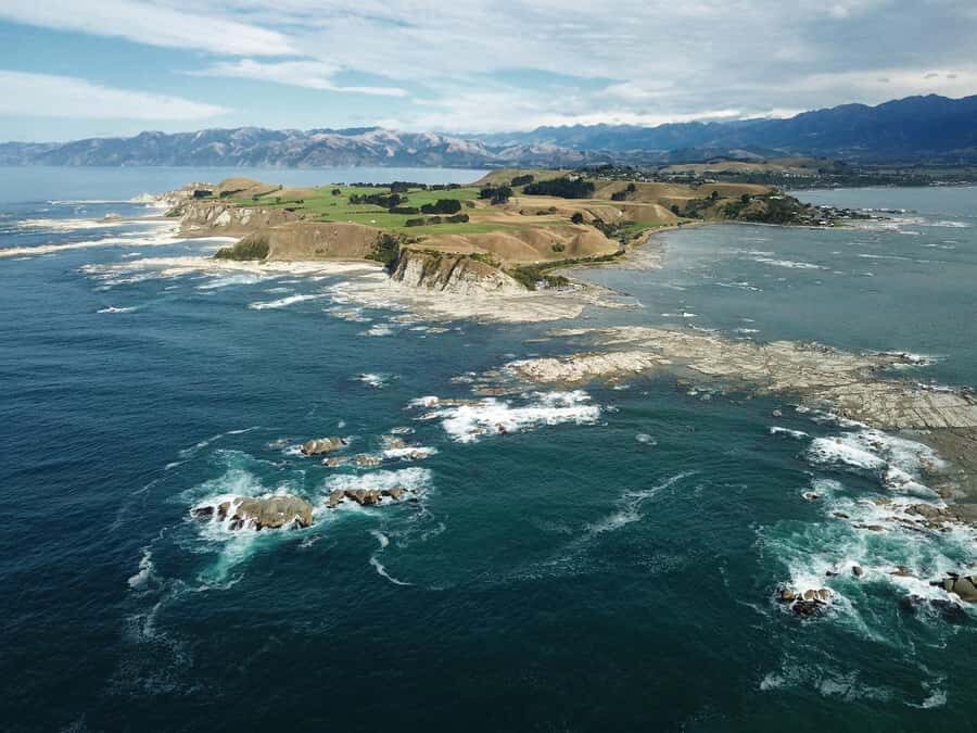 From Christchurch: Kaikōura Day Tour With Dolphin Encounter - Waipara wine tasting: a pleasant extra, not a guarantee