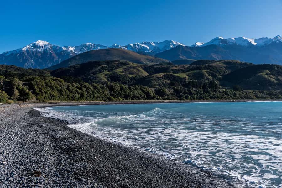 From Christchurch: Kaikōura Day Tour With Dolphin Encounter - Comfort, snacks, and the small-group feel that reduces stress