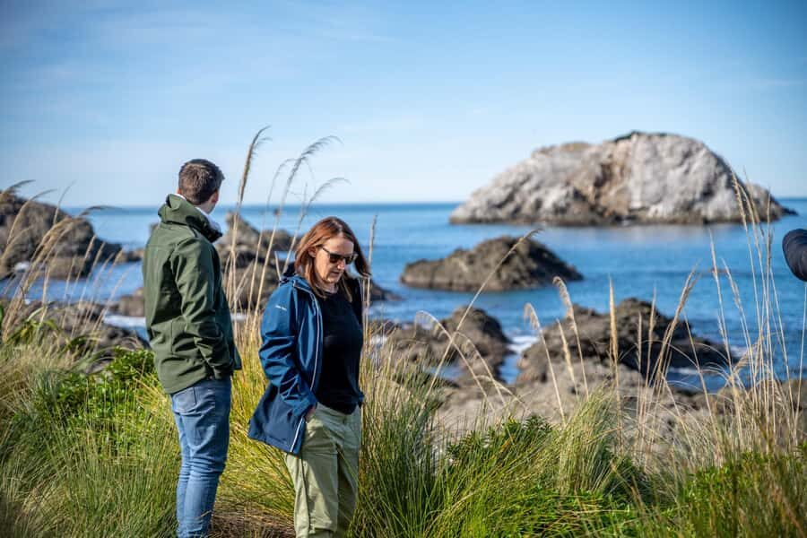 From Christchurch: Kaikōura Day Tour With Dolphin Encounter - Price and value: what $206 covers, and when it feels worth it