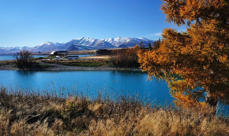 From Christchurch: Queenstown via Tekapo & Mt Cook Day Trip - Price and value: what NZD $238 buys on a 13-hour one-way