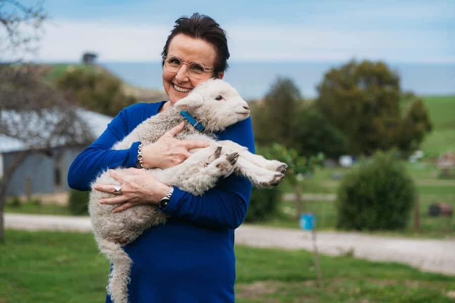 From Christchurch: Sheep Farm Experience with Lunch & Winery - Glenafric: the real working sheep farm near Christchurch