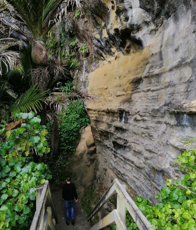 From Greymouth: Highlights West Coast Day Tour - Who should book this West Coast Scenic Taste Tour