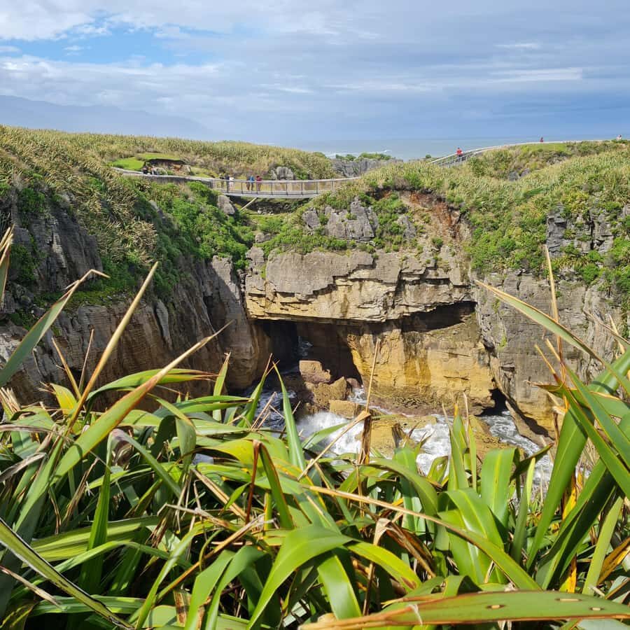 From Greymouth: Highlights West Coast Day Tour - Price and logistics: what $188 gets you for eight hours