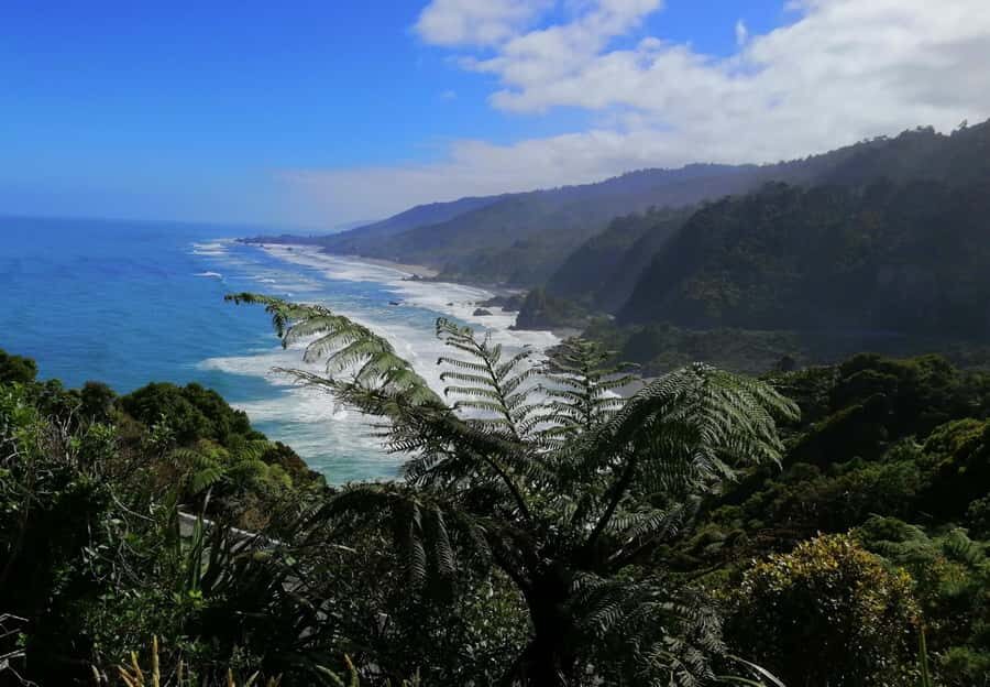 From Greymouth: Highlights West Coast Day Tour - Punakaiki Pancake Rocks: the walk that earns its reputation