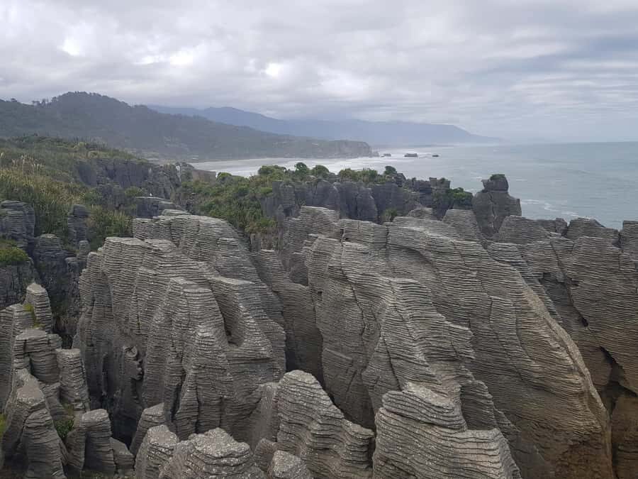 From Greymouth: Punakaiki Blowholes & Pancake Rocks Tour - Wildlife and Native Plants: How the Interpretation Panels Improve the Walk