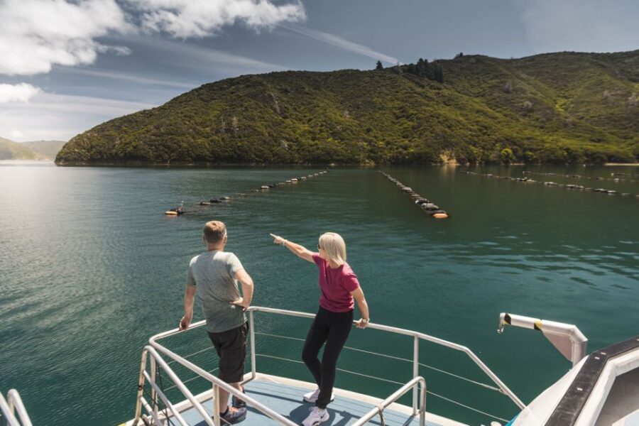 From Havelock: Marlborough Sounds Mail Boat Full-Day Cruise - Practical tips for a smooth day on the water