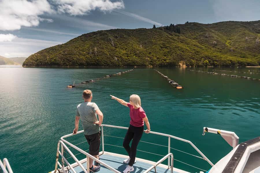 From Havelock: Marlborough Sounds Mail Boat Full-Day Cruise - Who should book this Pelorus Sounds mail boat?