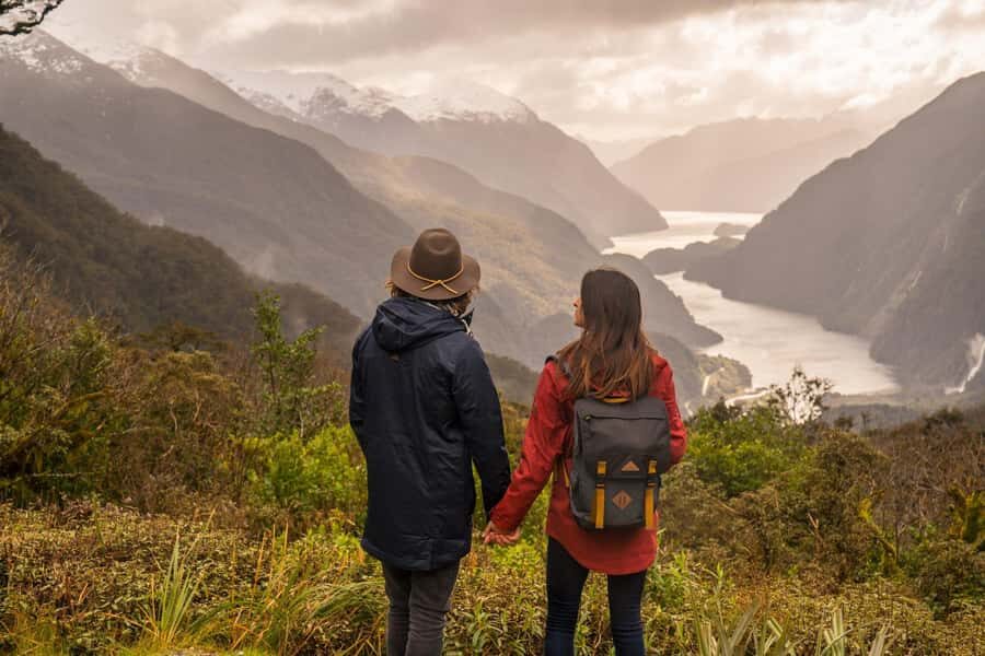 From Manapouri: Doubtful Sound Overnight Cruise - Wildlife Spotting: Dolphins, Penguins, and Seals with a Human Guide