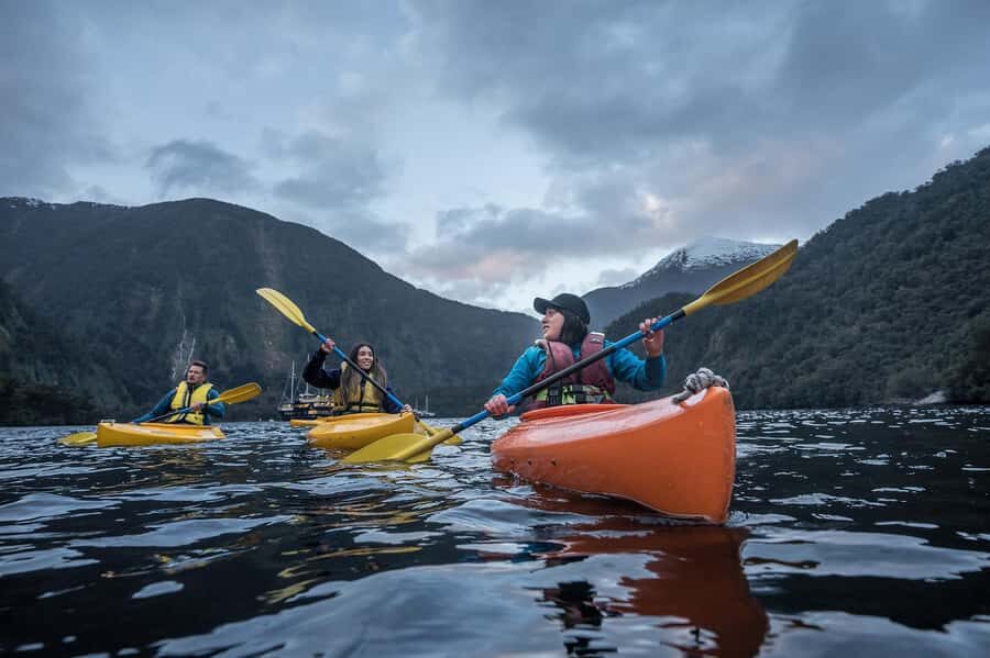 From Manapouri: Doubtful Sound Overnight Cruise - Cruising Doubtful Sound All the Way to the Tasman Sea
