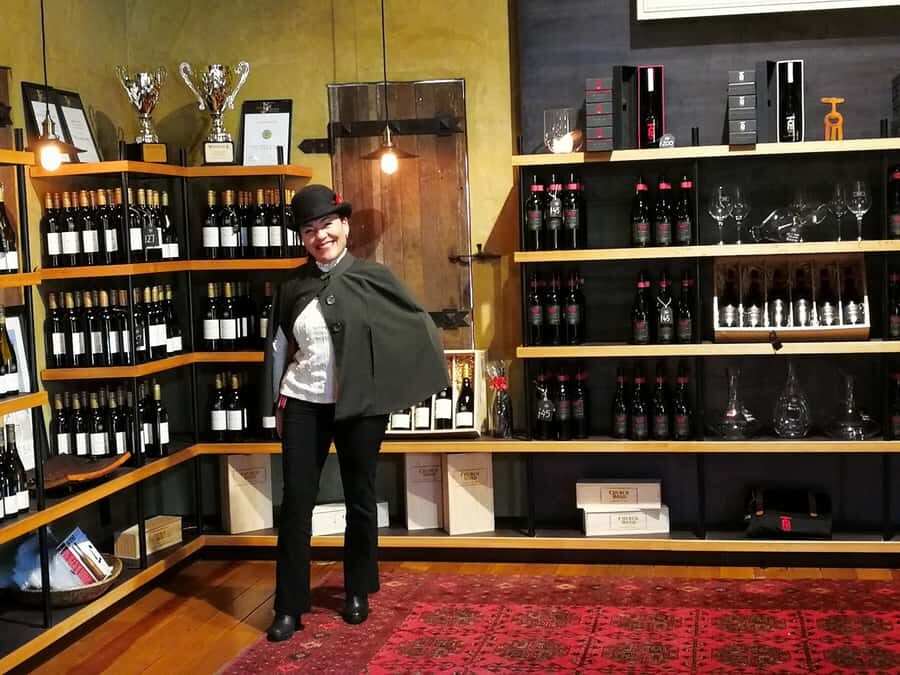 From Napier: Hawke's Bay Small Group Wine Capita Tour - Key takeaways before you go