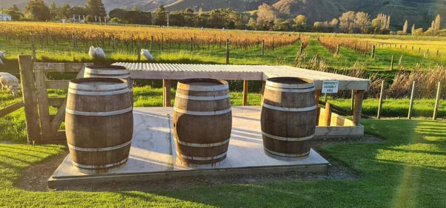 From Napier: Hawke's Bay Small Group Wine Capita Tour - What you’ll drink: robust reds, elegant whites, and how to get the most from 20-plus pours