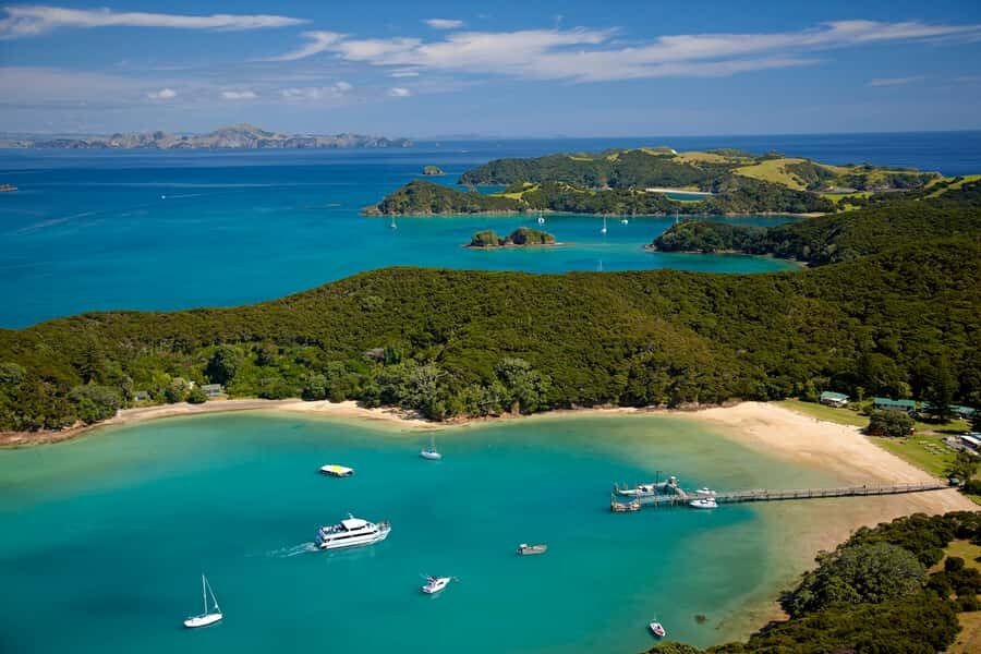 From Paihia: Full-Day Bay of Islands Cruise - Key highlights to know before you go